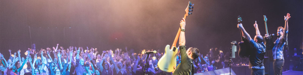 wedding bands wellington the relatives